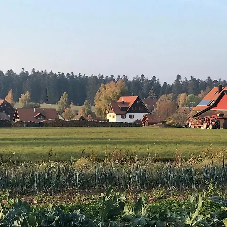 Ferienwohnung Im Schwarzwald Appartamento *