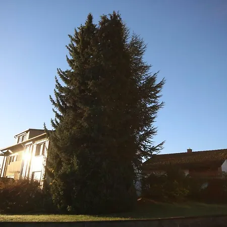 Appartamento Ferienwohnung Im Schwarzwald Loßburg